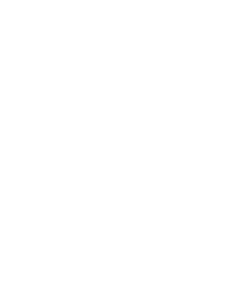 Vivalis