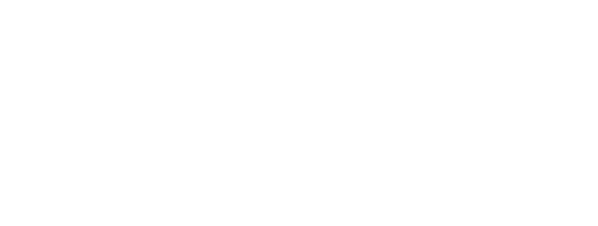 Dislog Group